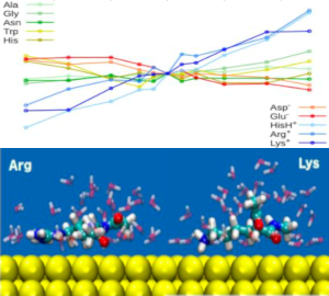 Field-affected amino acids