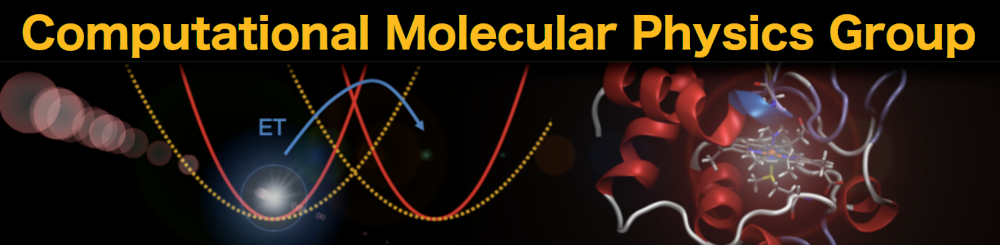 Computational Molecular Physics Group